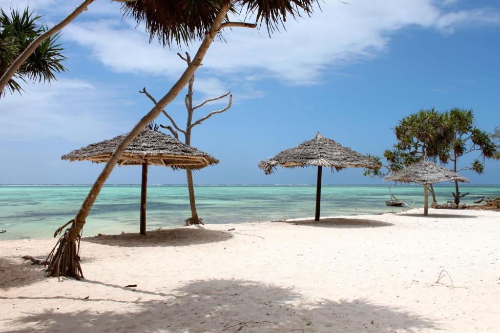 Nest Style Beach Hotel Zanzibar Makunduchi Zewnętrze zdjęcie