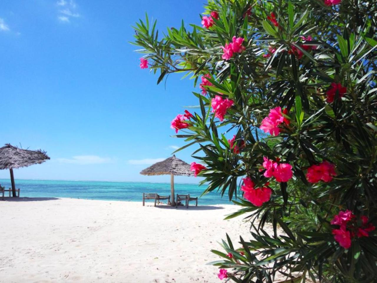 Nest Style Beach Hotel Zanzibar Makunduchi Zewnętrze zdjęcie